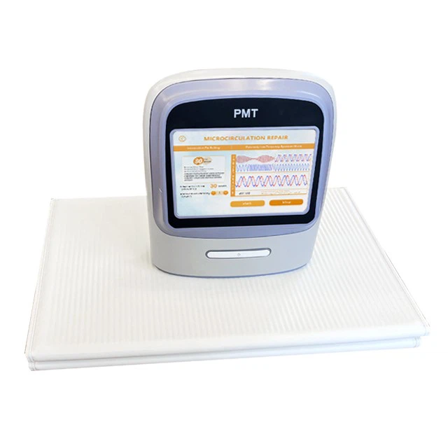 pmt 6